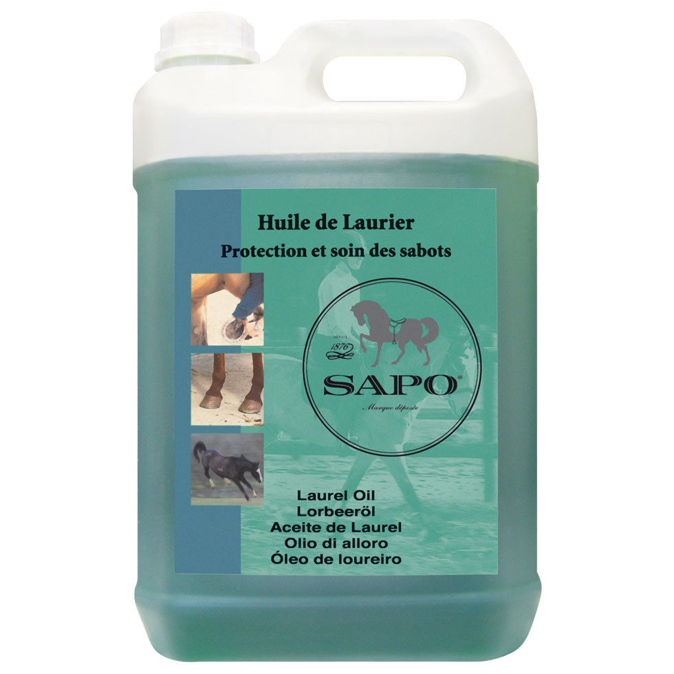 Huile de laurier – Image 4